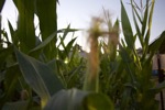 resIMG_20161021_150049_6349.jpg